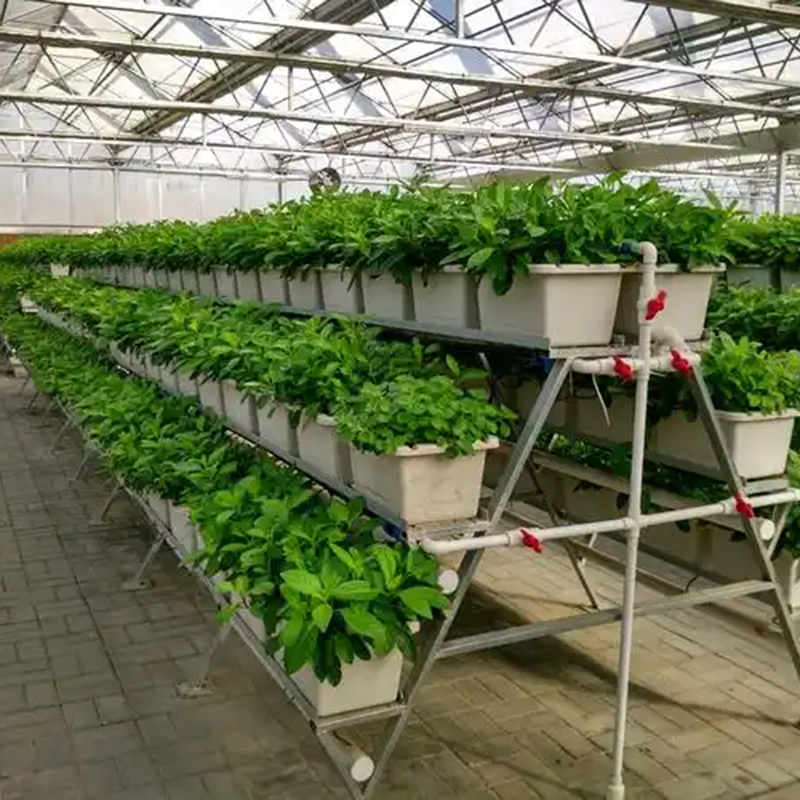 阜新市植物工厂气雾培 - 推荐